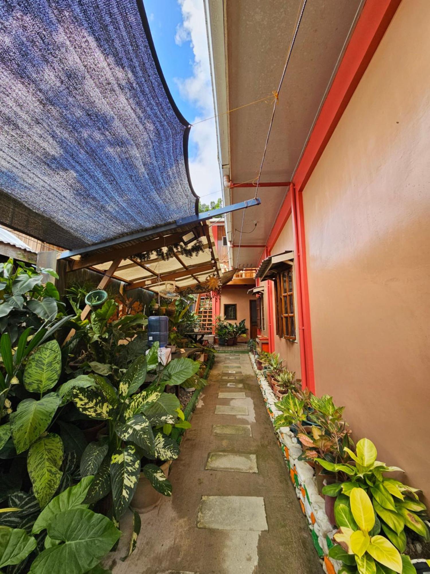 Ferranco Tourist Inn San Vicente  Ngoại thất bức ảnh